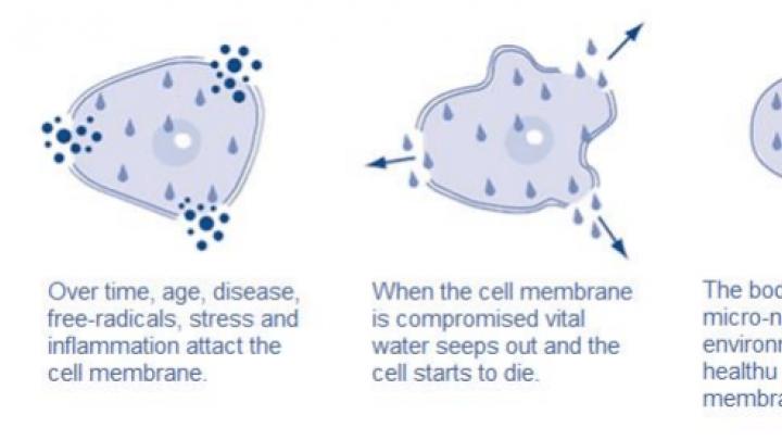 Cellular water